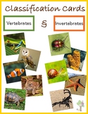 Sorting Activity - Vertebrate and Invertebrate Animals wit