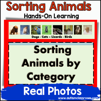 Preview of Sorting Animals by Category - Science (Autism & Special Education)