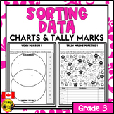 Sorting Data and Tally Marks Math Worksheets | Grade 2 Grade 3