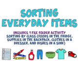 Sorting Everyday Items: 1 File Folder Activity for Kids wi