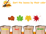 Sorting Fall Leaves by color and size