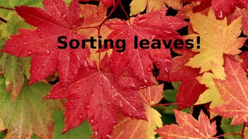 Preview of Sorting Leaves!