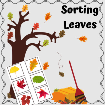 Preview of Sorting Leaves Count Compare Match Observe and Create Patterns