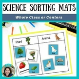 Sorting By Attributes - Sorting Objects - Kindergarten & 1