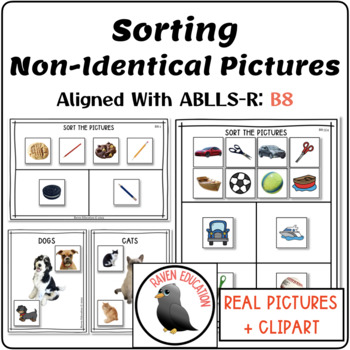 ABLLS-R Aligned B8 Sort Non Identical Items Task (Instant Download) 