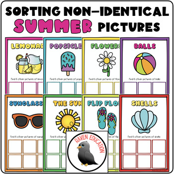 Sorting Non-Identical SUMMER Pictures (8 Sorting Mats) ABLLS-R B8
