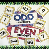 Sorting Odd / Even numbers task | Recording sheet
