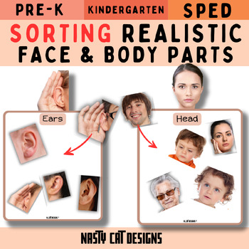 Preview of Sorting REALISTIC Body and Face Parts Interactive Activity for SPED & SLP