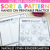 Sorting and Patterns Worksheets