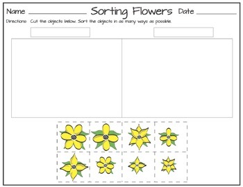 Sorting by Multiple Attributes by Chikabee | Teachers Pay Teachers