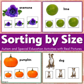 Preview of Sorting by Size Activities for Special Education | Picture Sort for Autism