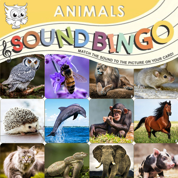 Preview of Sound Bingo Animals