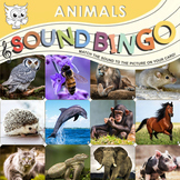 Sound Bingo Animals