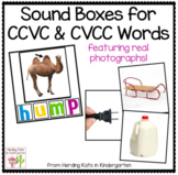 Sound Boxes for CCVC and CVCC Words with Photos