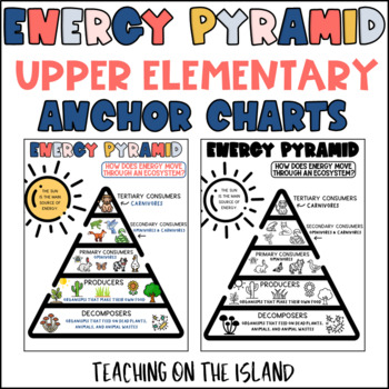 Energy Pyramid Science Anchor Chart by Teaching on the Island