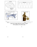 Sound Energy Sort