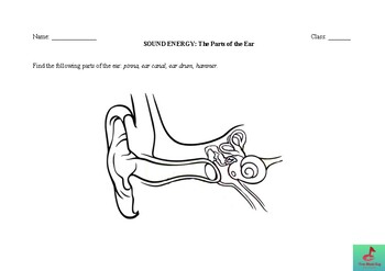 Preview of Sound Energy: The Parts of the Ear