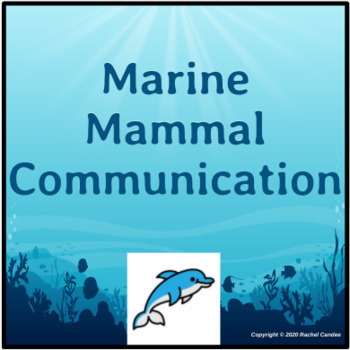Preview of Sound & Echolocation: Marine Mammal Communication