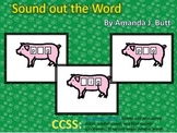 Sound Out the Word (beginning, middle, final - CVC) First Grade; Special Needs