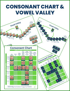 Preview of Sound Wall: Consonant & Vowel Valley Charts