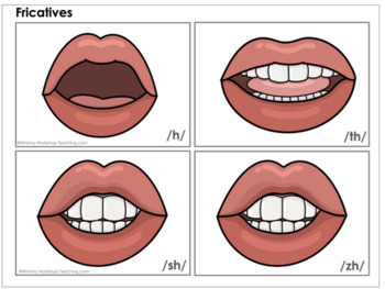 Sound Wall Mouth Shapes Cards Posters Phoneme Articulation Mouth Positions