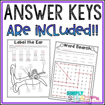 Sound Energy Vocabulary Worksheets by Simply STEAM | TpT