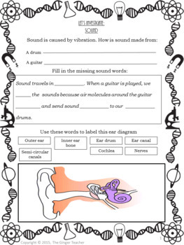Sounds, Vibrations and Hearing Worksheets by The Ginger Teacher | TpT