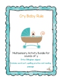 Vowel Y-Cry Baby Rule multisensory activities for Orton Gi