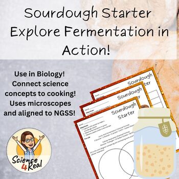 Preview of Sourdough- Explore Fermentation - Teacher Guide Included