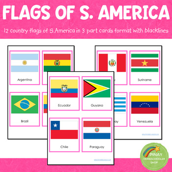 Preview of South America Flags Montessori 3 Part Cards