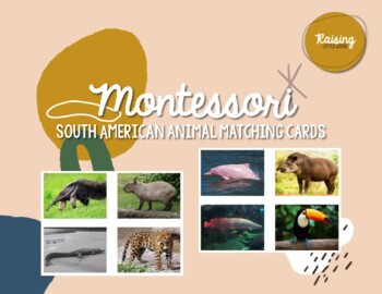 Preview of South American Animal Matching (Safari Ltd Compatible) Montessori Aligned