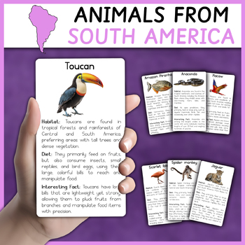 Preview of South American Animals | Animals from South America | Flashcards | Informational