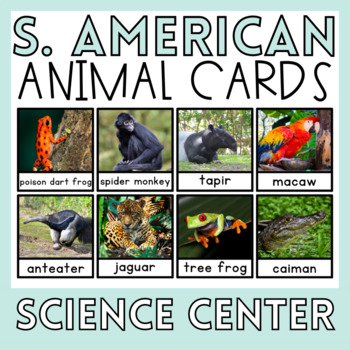 Preview of South American Animals Montessori Preschool Science Center Activities