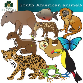 South American Animals Clip Art - Amazon Wildlife by Studio Devanna