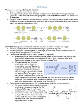 Eoc Review Biology Worksheets Teaching Resources Tpt