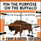 Pin the Purpose on the Buffalo Game| Native American South