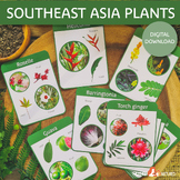 Southeast Asia Native Plant Study | South East Asia Plant 