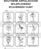 Southern Appalachian Wildlfowers Scavenger Hunt 2 Pages 18