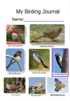 Preview of Southern California Birding Journal and Field Guide