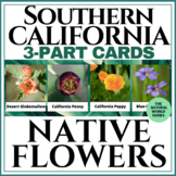 Southern California Native Flowers 3-Part Cards | Montessori