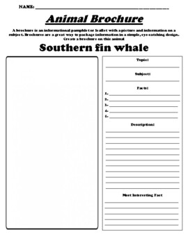 Southern fin whale Informational Brochure Worksheet & WebQuest