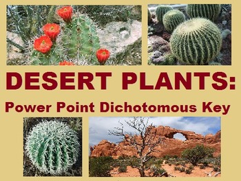 Preview of Desert Plants Dichotomous Key / Task Cards Bundle