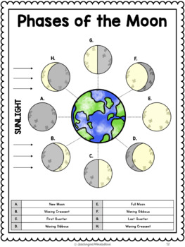 {Grade 6} Unit 4: Space Activity Packet by TeachinginaWonderland