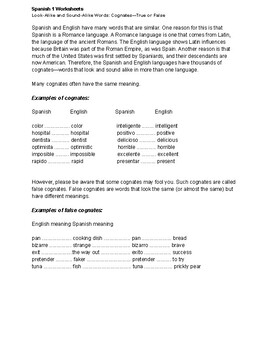 Preview of Spanish 1:  Plural Nouns practice worksheets