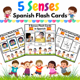 Spanish 5 Senses Flash Cards & Coloring Pages for PreK & K