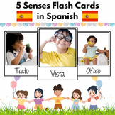 Spanish 5 Senses Real Picture Flashcards for PreK and K Ki