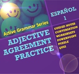 Spanish Adjective Agreement - Active Grammar Series