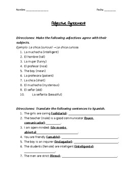 Preview of Spanish Adjective Agreement Practice Worksheet