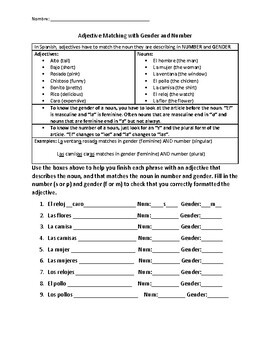 spanish adjective number and gender matching worksheet by lacey elliott