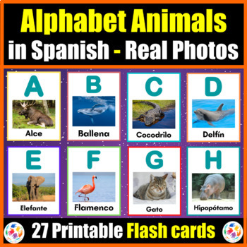Animal Alphabet Flash Cards Teaching Resources | TPT